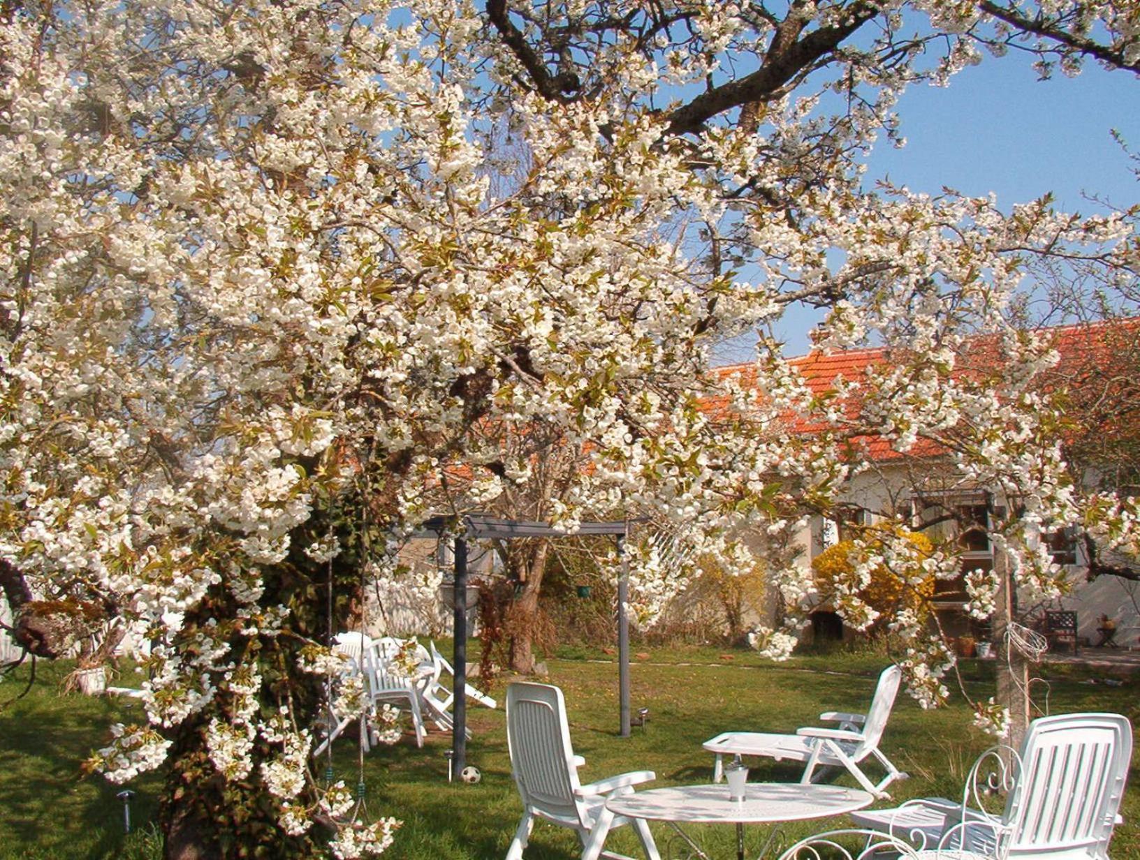 La Longere Des Gillettes Bed & Breakfast Bezenet Exterior photo